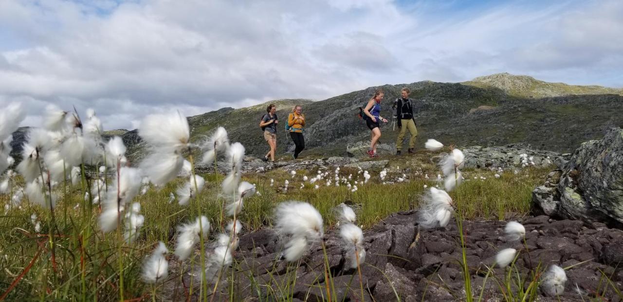 Heggjabygda Gjestegard, Nordfjordeid Dış mekan fotoğraf